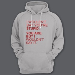 Прикольная мужская толстовка с капюшоном с надписью I wouldnt say youre stupid. You are. But i wouldnt say it