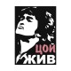 Свитшот