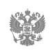 Худи с принтом Russia
