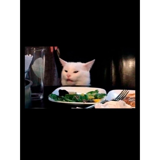 Худи