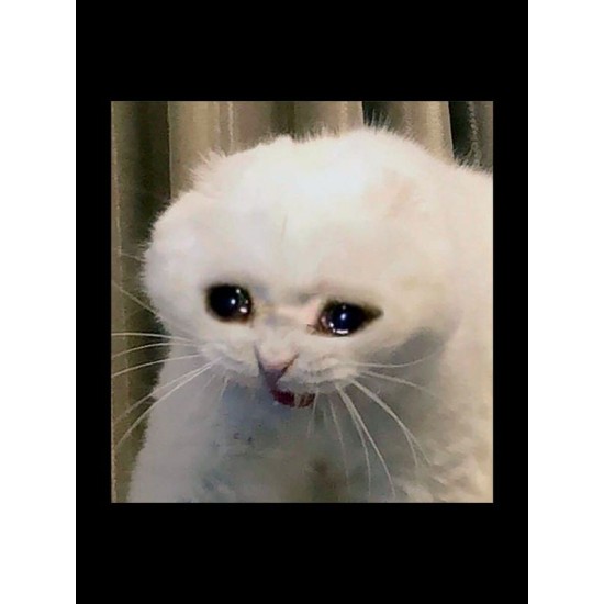 Худи