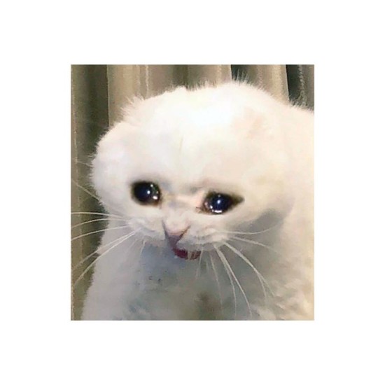 Худи