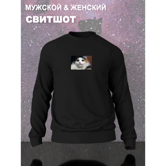 Свитшот
