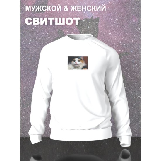 Свитшот мемный котик кот смотрит мем с котом белая с принтом