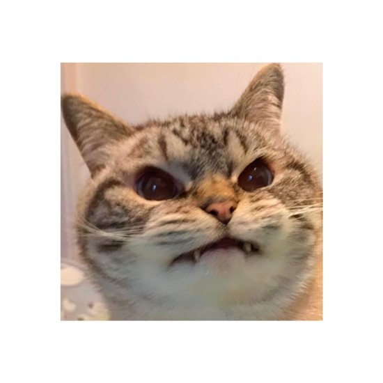 Худи