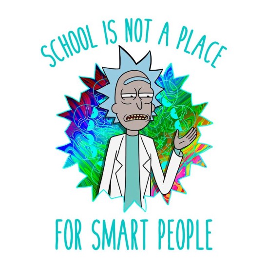 Худи рик и морти и ученый мем из rick and morty