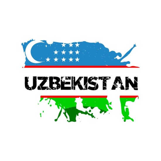 Худи Узбекистан и флаг Uzbekistan с принтом