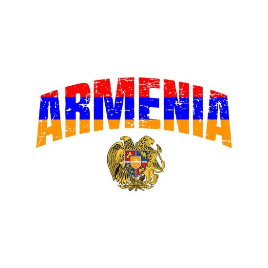 Худи Армения Armenia герб и флаг с принтом