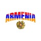 Худи Армения Armenia герб и флаг с принтом
