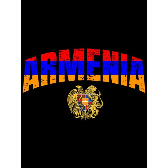 Худи Армения Armenia герб и флаг с принтом