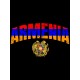 Худи Армения Armenia герб и флаг с принтом