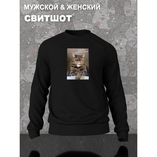 Свитшот с принтом Кот оверсайз черный. Свитшот унисекс с мемной надписью 