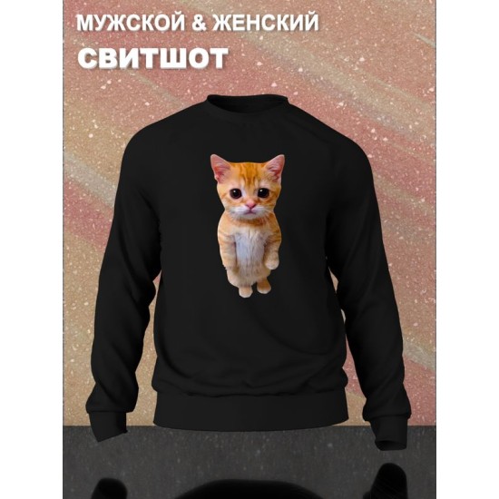Свитшот с принтом Кот оверсайз черный. Свитшот унисекс с рисунком Котенок в стиле кэжуал.