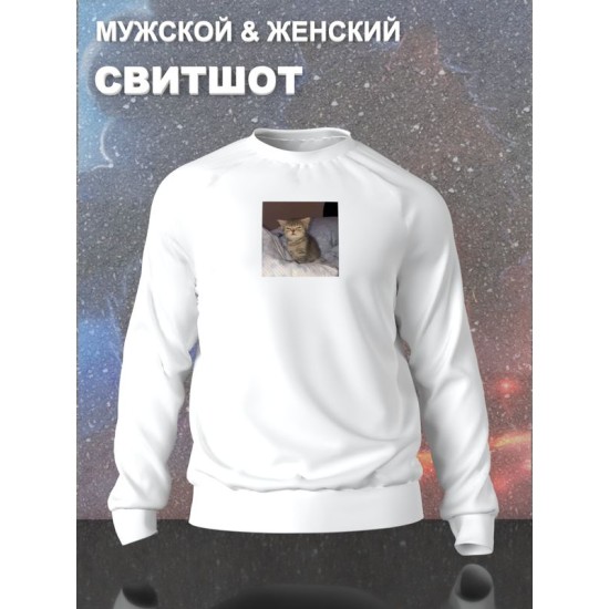 Свитшот с принтом Котенок оверсайз белый. Свитшот унисекс с прикольным рисунком Сонный кот в стиле кэжуал.