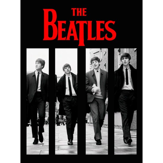 Худи Beatles Битлс логотип с принтом, рок группа logo