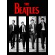 Худи Beatles Битлс логотип с принтом, рок группа logo