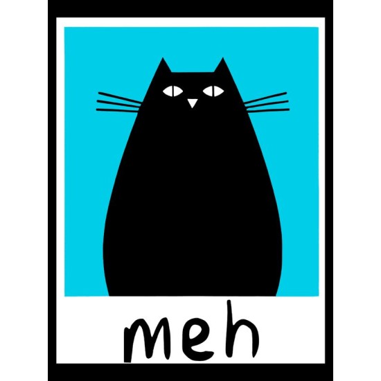 Футболка meh с котом черным котиком с принтом