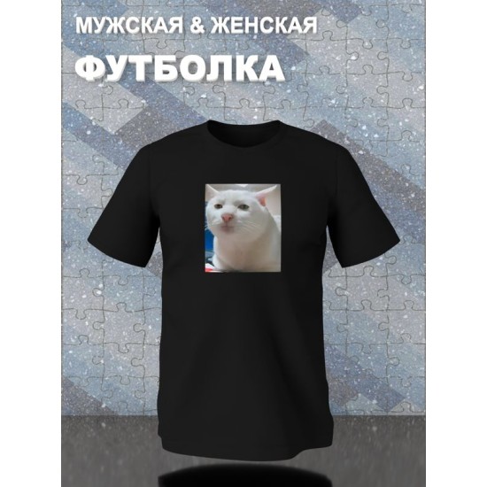 Футболка серьезный кот мем и прикол с принтом