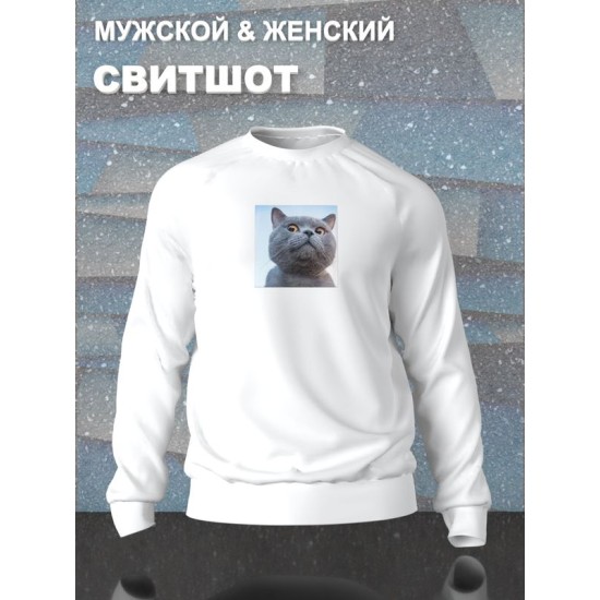 Свитшот