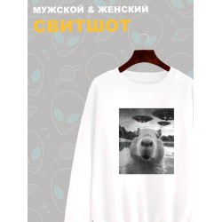 Свитшот