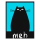 Футболка meh с котом черным котиком с принтом