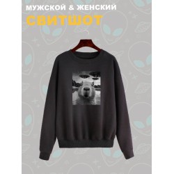 Свитшот