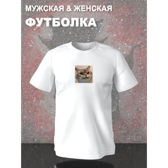 Футболка мем с котом и котиком с принтом