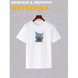 Футболка с мемным котиком с принтом