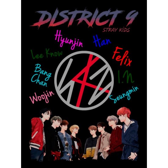 Футболка Stray kids Стрей кидс Skz с принтом, черная женская и мужская, кпоп мерч kpop кей поп одежда y2k.
