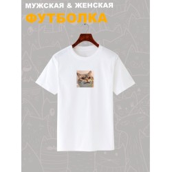 Футболка мем с котом и котиком с принтом