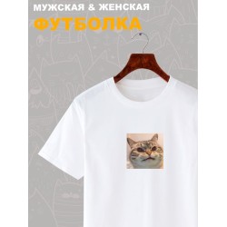 Футболка мем с котом и котиком с принтом