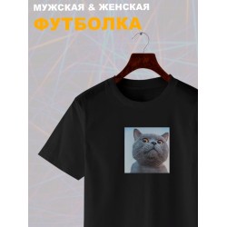 Футболка с мемным котиком с принтом