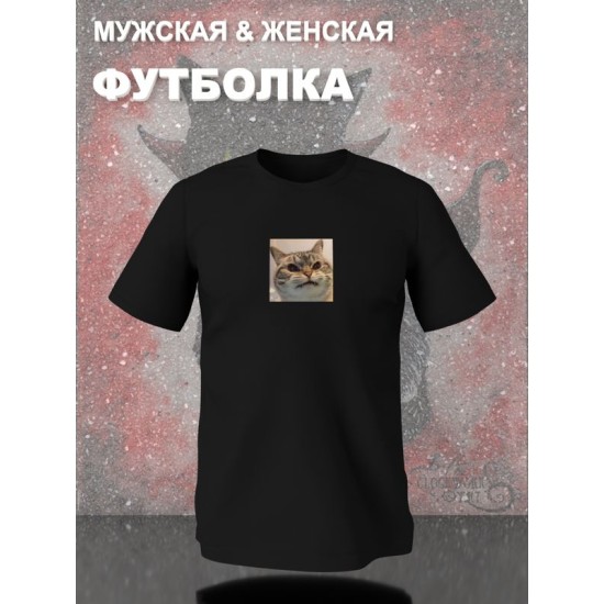 Футболка мем с котом и котиком с принтом