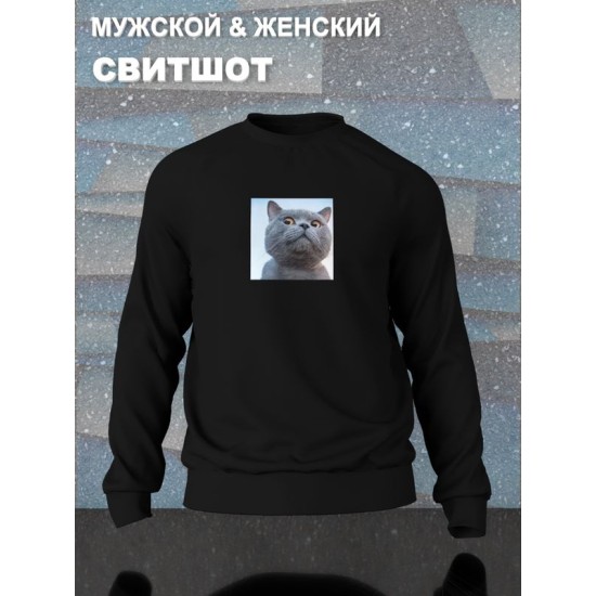 Свитшот