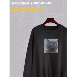 Свитшот