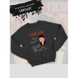 Свитшот Сектор газа с принтом Юрий Хой, панк рок мерч punk rock merch в ретро стиле, толстовка без капюшона, гранж одежда андеграунд y2k style underground.