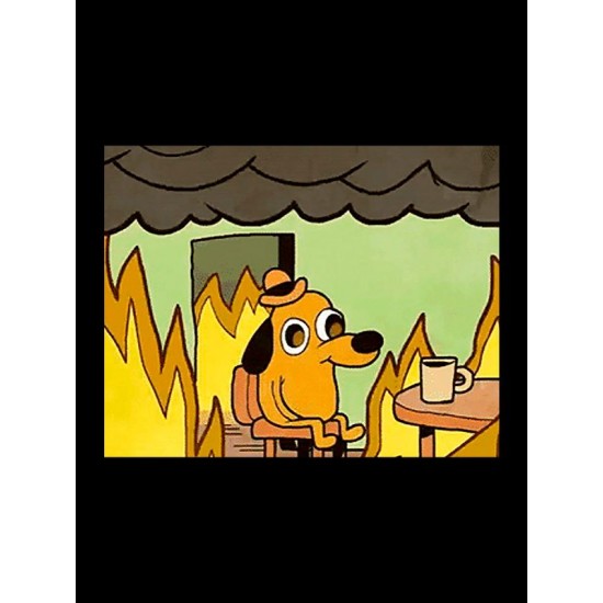 Футболка Собака в огне мем This is fine с принтом