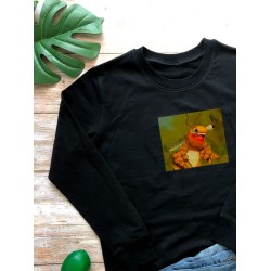 Свитшот