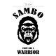 Наклейки на авто с принтом Sambo / Стикеры для машин