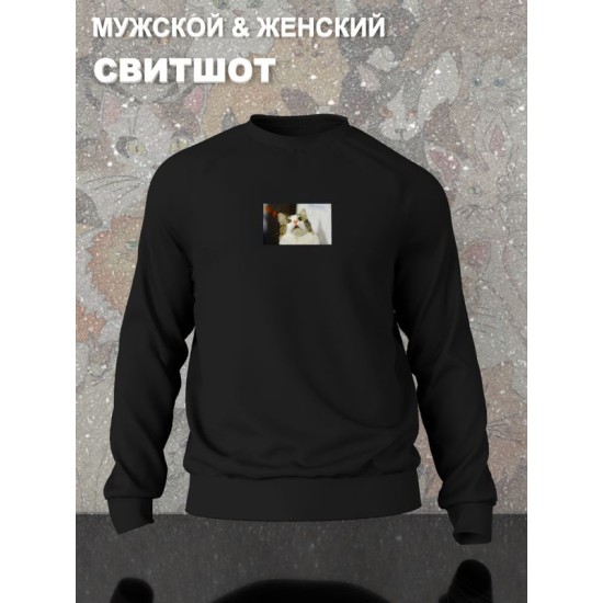 Свитшот