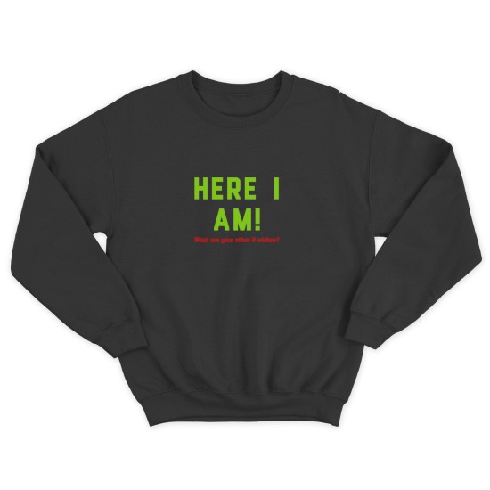 Свитшот для мужчины с интересной надписью Here i am. What are your 2 wishes. Оригинальная толстовка без капюшона.