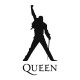 Футболка Queen Freddie Mercury Квин Фредди Меркьюри с принтом