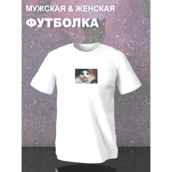 Футболка мемный котик кот смотрит мем с котом с принтом