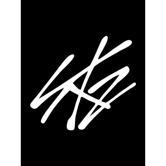 Футболка Skz Straykids Stray Kids логотип стрэй кидс с принтом