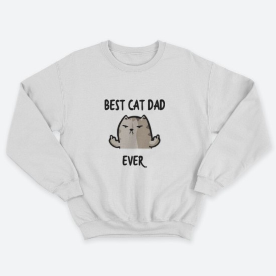 Прикольный мужской свитшот с надписью Best cat dad ever.