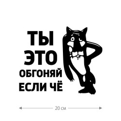 Наклейка интерьерная на стену и авто, надписи на автомобиль на дверь на стекло на ноутбук на холодильник на унитаз на зеркало на дневник. Прикольные наклейки с приколами, смешные.