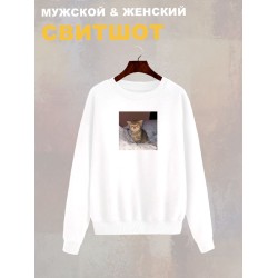 Свитшот с принтом Котенок оверсайз белый. Свитшот унисекс с прикольным рисунком Сонный кот в стиле кэжуал.