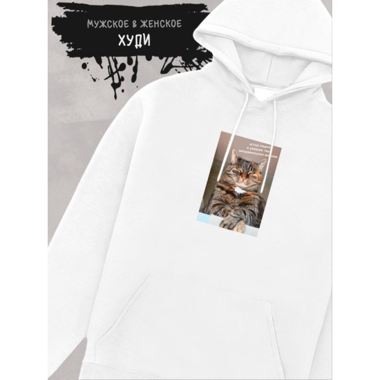 Худи с принтом Кот оверсайз белое. Худи унисекс с мемной надписью "Штош, ладно, я уважаю твоё неправильное мнение" в стиле кэжуал для молодежи.