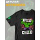 Футболка с героем Халк и прикольной надписью wild child. Футболка детская с принтом Hulk из Marvel comics для мальчика и девочки. Одежда для детей и подростков стрит стайл кежуал.