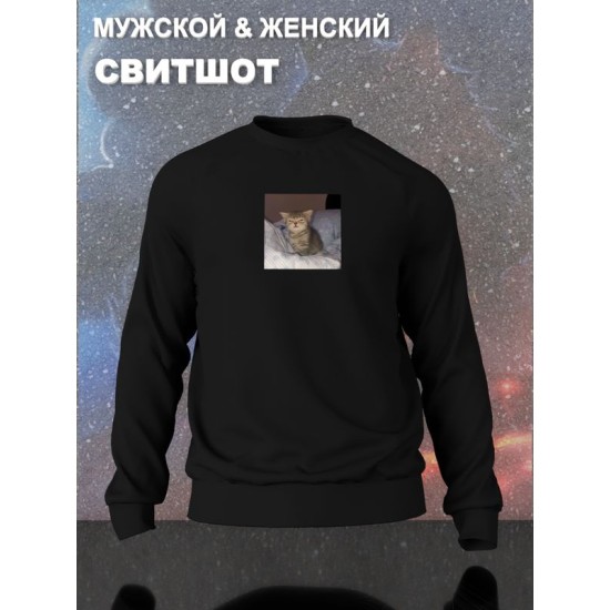 Свитшот с принтом Котенок оверсайз черный. Свитшот унисекс с прикольным рисунком Сонный кот в стиле кэжуал.